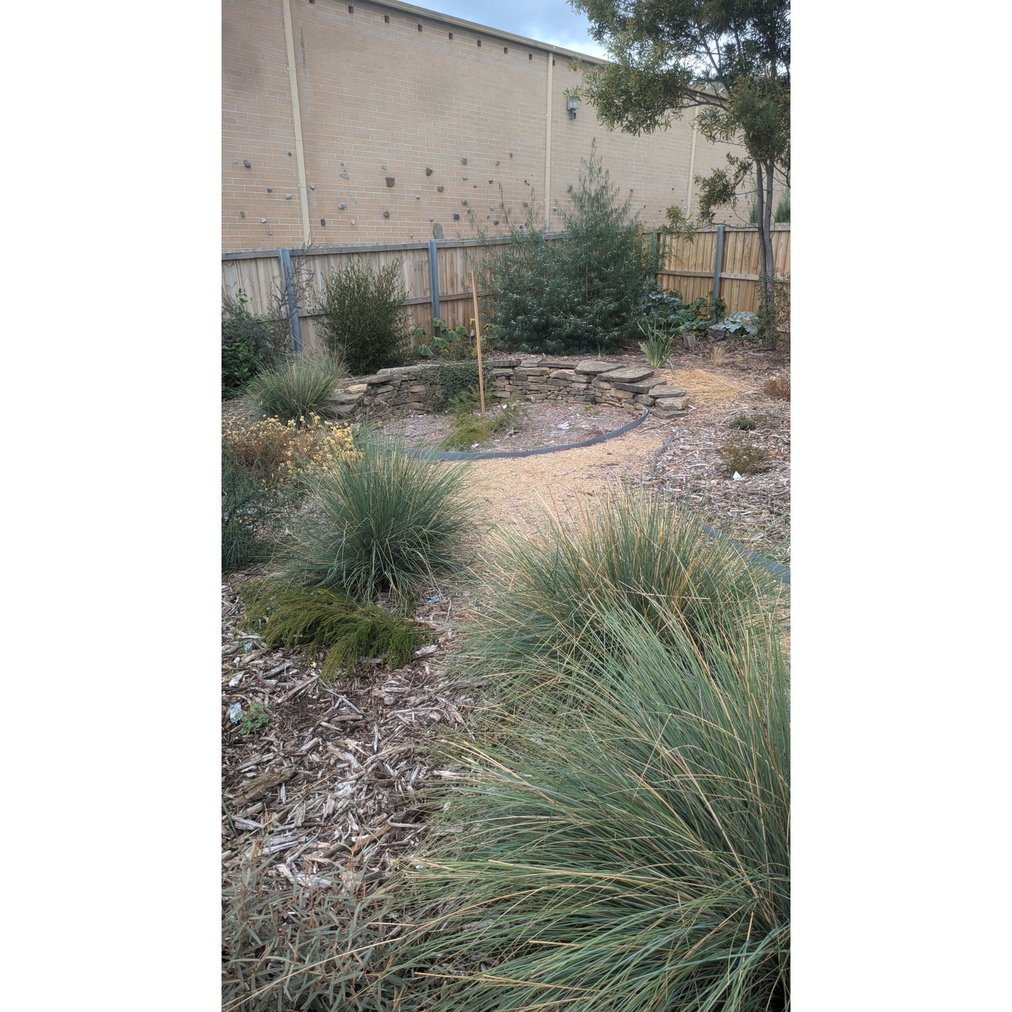 Native garden